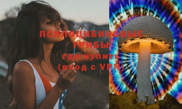 ПСИЛОЦИБИНОВЫЕ ГРИБЫ Нягань