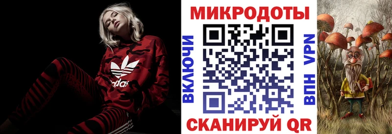 omg ТОР  Новоузенск  Галлюциногенные грибы мицелий 